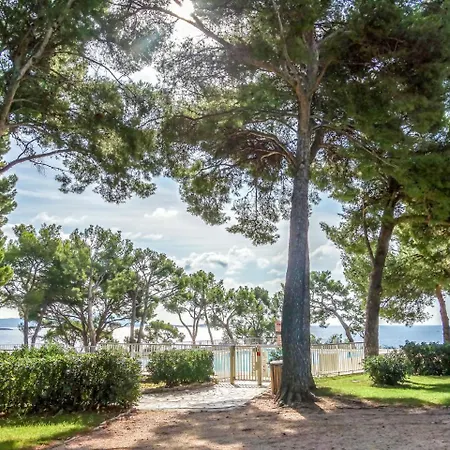 Athena Residence-1 By Interhome * Bandol